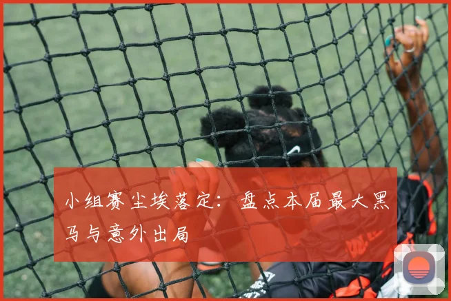 小组赛尘埃落定：盘点本届最大黑马与意外出局