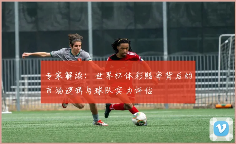 专家解读：世界杯体彩赔率背后的市场逻辑与球队实力评估