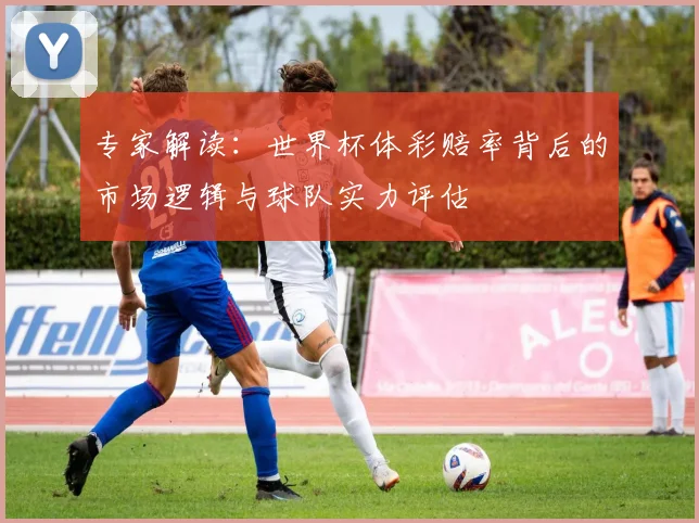 专家解读：世界杯体彩赔率背后的市场逻辑与球队实力评估
