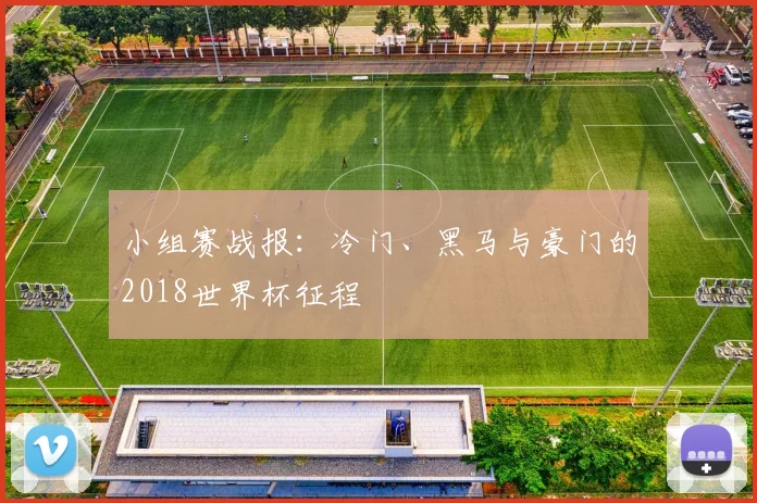 小组赛战报：冷门、黑马与豪门的2018世界杯征程